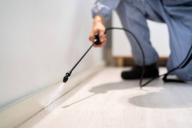 Licensed Mosquito Control service in Sunnyside-Tahoe City, CA - Nex Pest Control