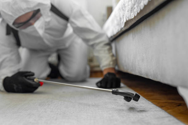 Professional Mosquito Control technician working in Sunnyside-Tahoe City, CA