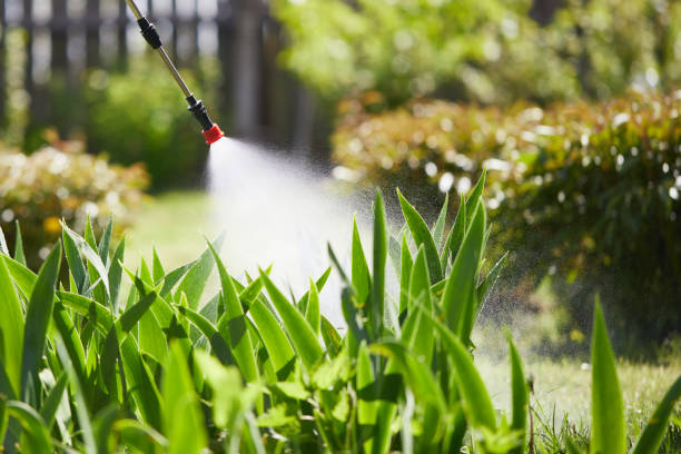 24/7 Emergency Mosquito Control experts in Sunnyside-Tahoe City, CA