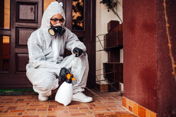 Reliable Mosquito Control contractor in Sunnyside-Tahoe City, CA by Nex Pest Control