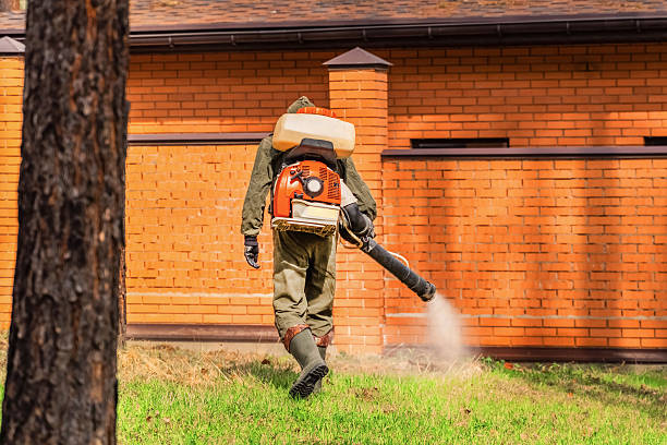 Trusted Ant Control service in Sunnyside-Tahoe City, CA - Nex Pest Control